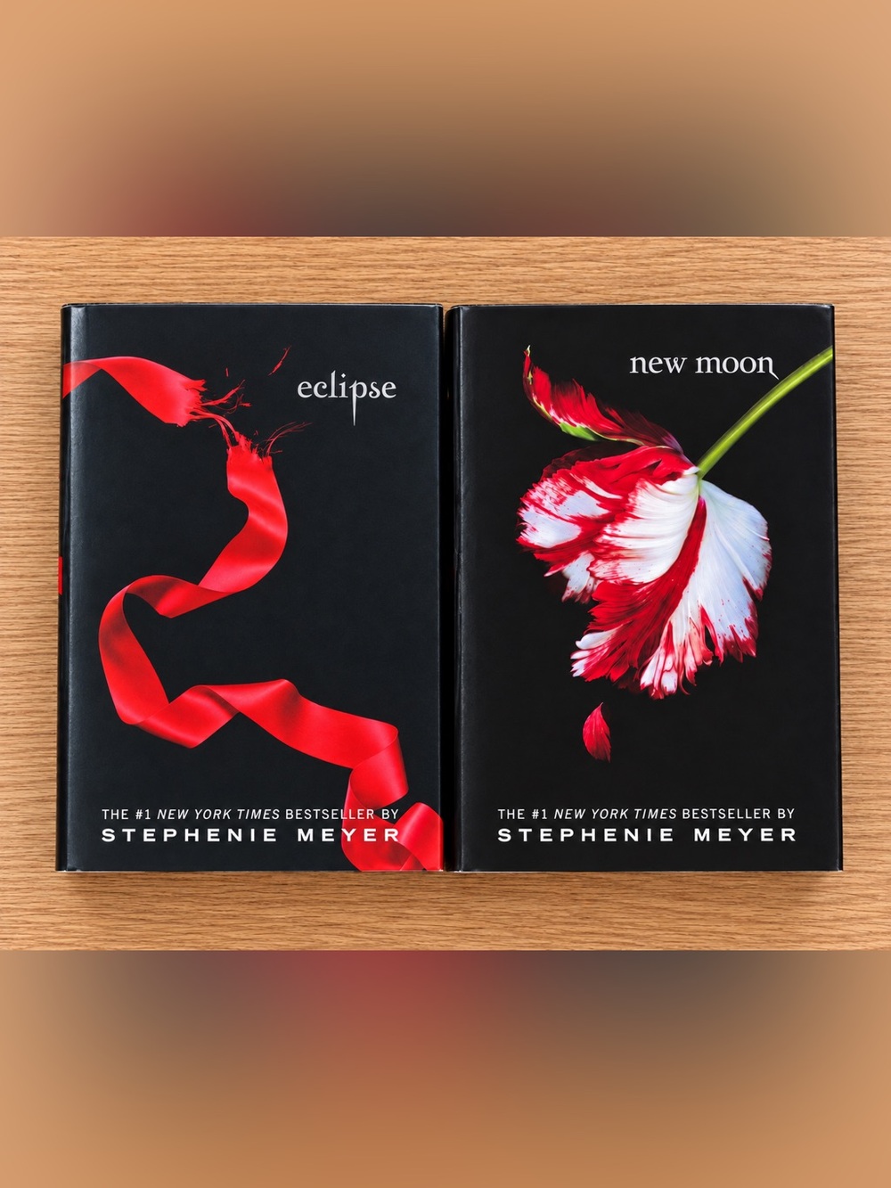 Stephenie Meyer Twilight Saga New Moon & Eclipse Paperback Book Lot of 2 📚